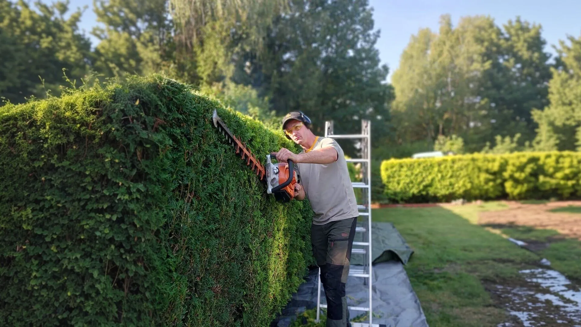 Arboryst - Profesjonalne usługi arborystyczne