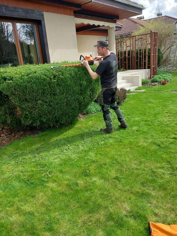 Profesjonalne strzyżenie i formowanie dużego żywopłotu